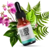 GlucoBliss
