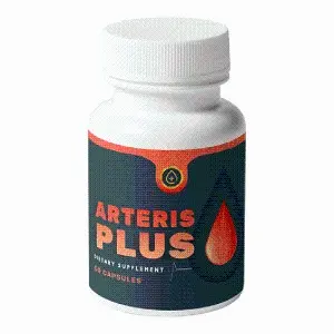 Arteris Plus