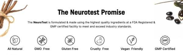 NeuroTest