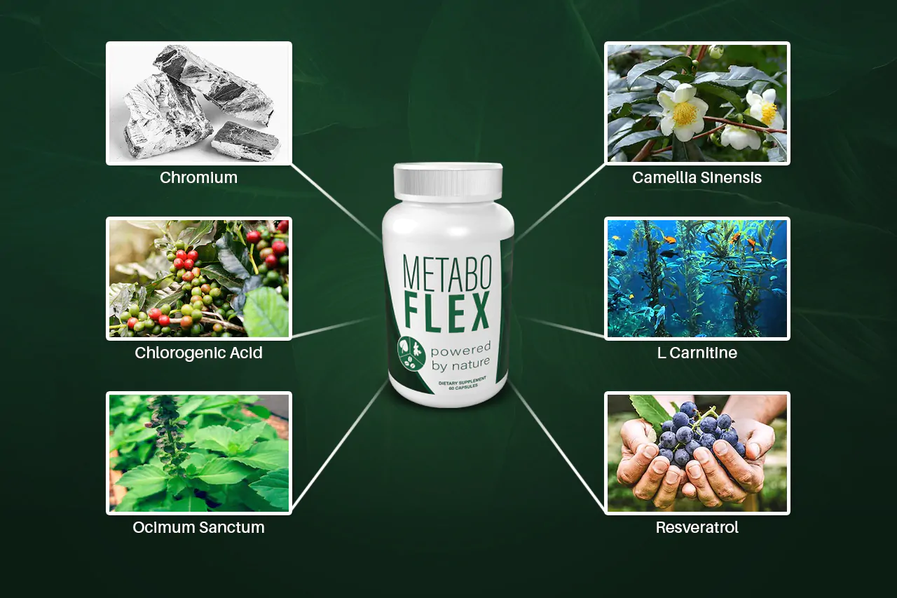 MetaboFlex